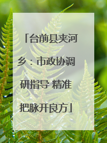 台前县夹河乡：市政协调研指导 精准把脉开良方