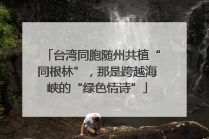 台湾同胞随州共植“同根林”，那是跨越海峡的“绿色情诗”