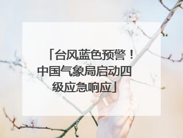 台风蓝色预警！中国气象局启动四级应急响应