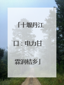 十堰丹江口：电力甘霖润桔乡