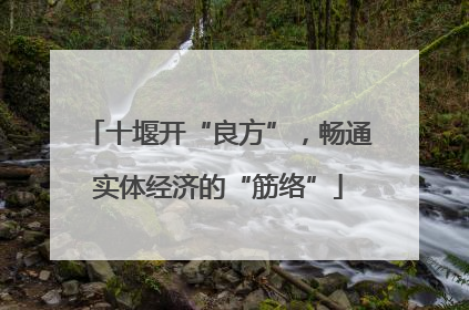 十堰开“良方”，畅通实体经济的“筋络”