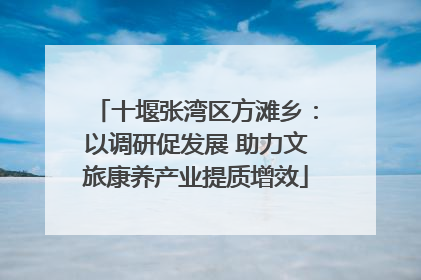 十堰张湾区方滩乡：以调研促发展 助力文旅康养产业提质增效