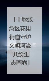 十堰张湾区花果街道守护文明河流 共绘生态画卷
