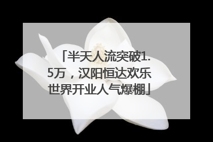 半天人流突破1.5万，汉阳恒达欢乐世界开业人气爆棚