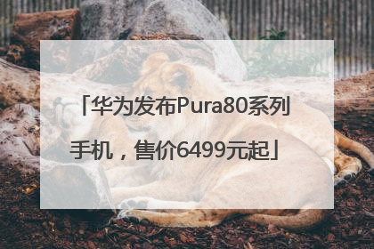 华为发布Pura80系列手机，售价6499元起