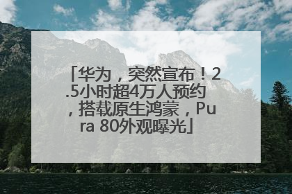 华为，突然宣布！2.5小时超4万人预约，搭载原生鸿蒙，Pura 80外观曝光
