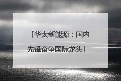 华太新能源：国内先锋奋争国际龙头