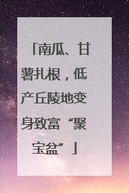南瓜、甘薯扎根，低产丘陵地变身致富“聚宝盆”