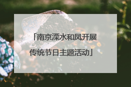 南京溧水和凤开展传统节日主题活动