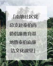 南塘社区党总支赴泰伯尚德倡廉教育基地暨泰伯庙廉洁文化课堂