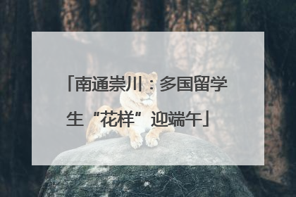 南通崇川：多国留学生“花样”迎端午