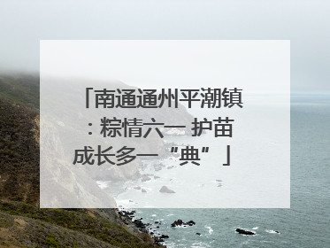 南通通州平潮镇：粽情六一 护苗成长多一“典”