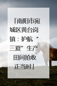 南阳市宛城区黄台岗镇：护航“三夏”生产 田间抢收正当时