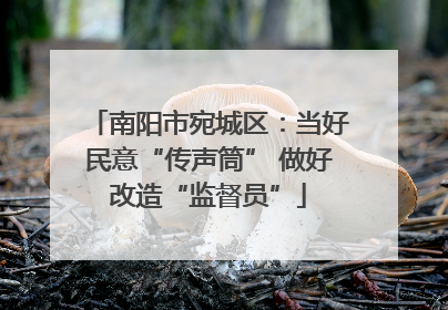 南阳市宛城区：当好民意“传声筒” 做好改造“监督员”
