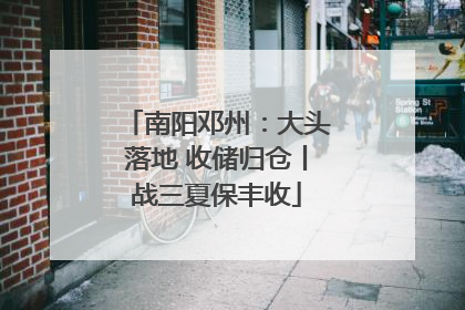 南阳邓州：大头落地 收储归仓丨战三夏保丰收