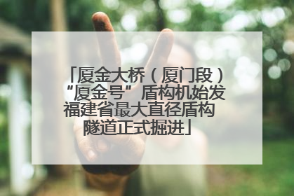 厦金大桥（厦门段）“厦金号”盾构机始发 福建省最大直径盾构隧道正式掘进
