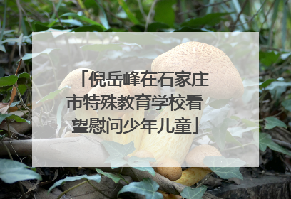 倪岳峰在石家庄市特殊教育学校看望慰问少年儿童