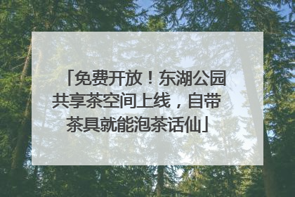 免费开放！东湖公园共享茶空间上线，自带茶具就能泡茶话仙