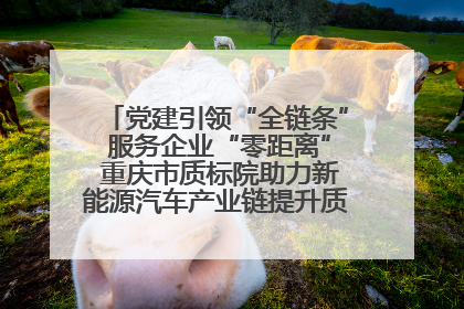 党建引领“全链条” 服务企业“零距离” 重庆市质标院助力新能源汽车产业链提升质量管理水平