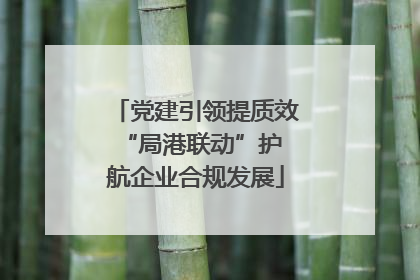 党建引领提质效 “局港联动”护航企业合规发展