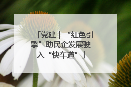 党建｜“红色引擎”助民企发展驶入“快车道”
