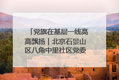 党旗在基层一线高高飘扬｜北京石景山区八角中里社区党委：用脚步丈量民生