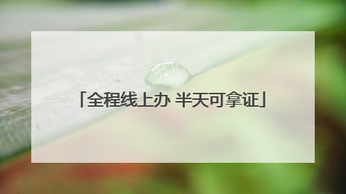 全程线上办 半天可拿证