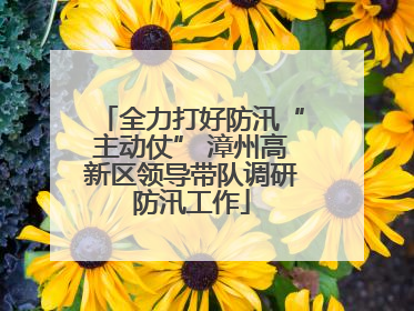 全力打好防汛“主动仗” 漳州高新区领导带队调研防汛工作