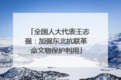 全国人大代表王志强：加强东北抗联革命文物保护利用