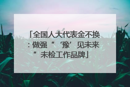 全国人大代表金不换：做强“‘豫’见未来”未检工作品牌
