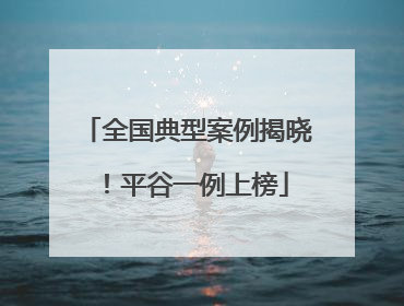 全国典型案例揭晓！平谷一例上榜