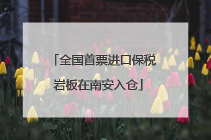 全国首票进口保税岩板在南安入仓