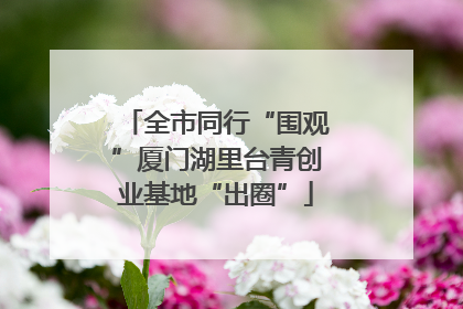 全市同行“围观”厦门湖里台青创业基地“出圈”