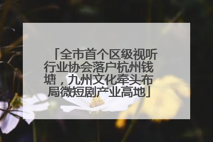 全市首个区级视听行业协会落户杭州钱塘，九州文化牵头布局微短剧产业高地