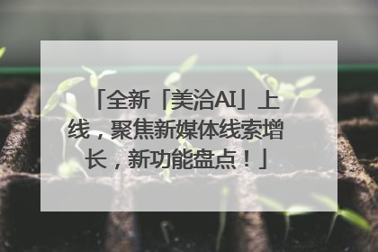 全新「美洽AI」上线，聚焦新媒体线索增长，新功能盘点！