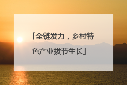 全链发力，乡村特色产业拔节生长