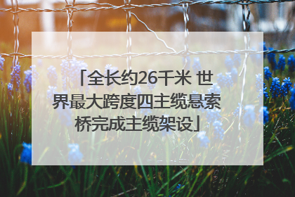 全长约26千米 世界最大跨度四主缆悬索桥完成主缆架设
