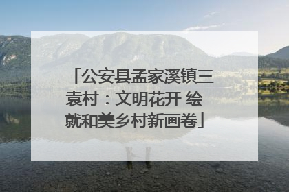 公安县孟家溪镇三袁村：文明花开 绘就和美乡村新画卷