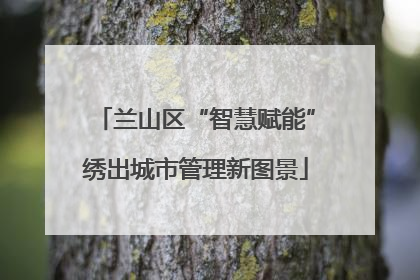 兰山区“智慧赋能”绣出城市管理新图景
