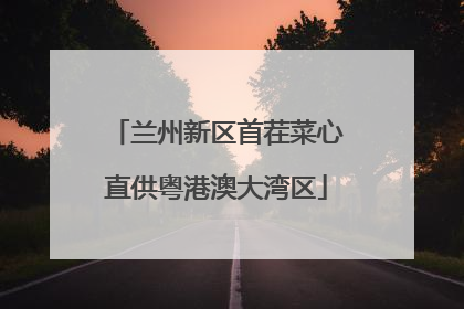 兰州新区首茬菜心直供粤港澳大湾区