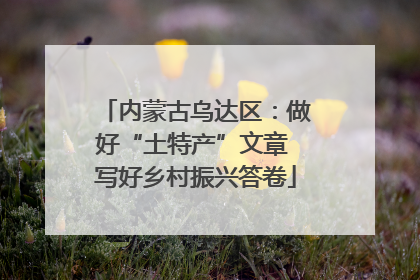 内蒙古乌达区：做好“土特产”文章 写好乡村振兴答卷