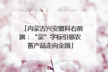 内蒙古兴安盟科右前旗：“蒙”字标引领农畜产品走向全国