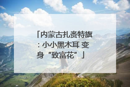 内蒙古扎赉特旗：小小黑木耳 变身“致富花”