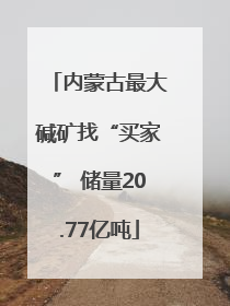 内蒙古最大碱矿找“买家” 储量20.77亿吨