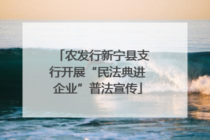 农发行新宁县支行开展“民法典进企业”普法宣传