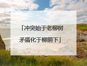 冲突始于老柳树 矛盾化于柳荫下