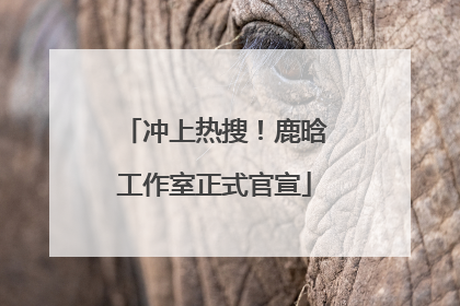 冲上热搜！鹿晗工作室正式官宣