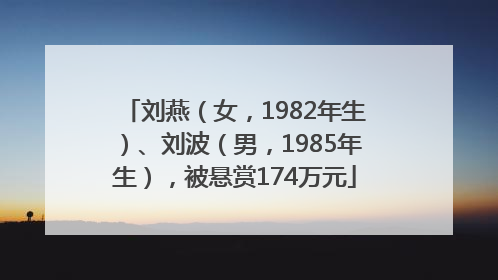 刘燕（女，1982年生）、刘波（男，1985年生），被悬赏174万元