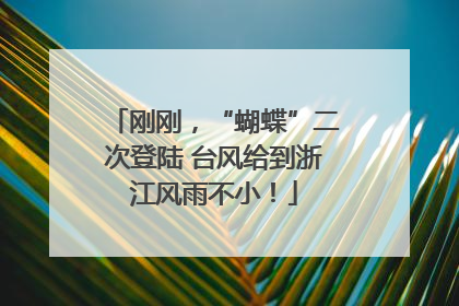 刚刚，“蝴蝶”二次登陆 台风给到浙江风雨不小！