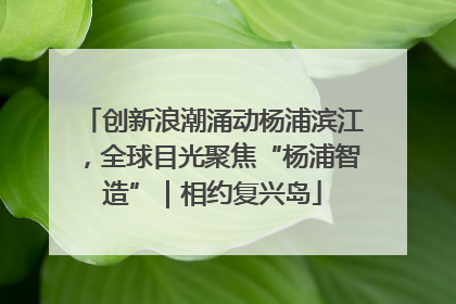 创新浪潮涌动杨浦滨江，全球目光聚焦“杨浦智造”｜相约复兴岛